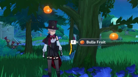 Genshin Impact Bulle Fruit