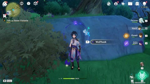 Genshin Impact Wolfhook