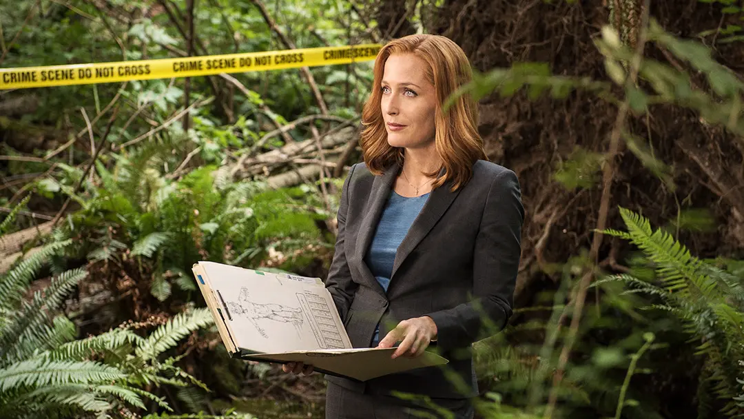 Gillian Anderson The X Files