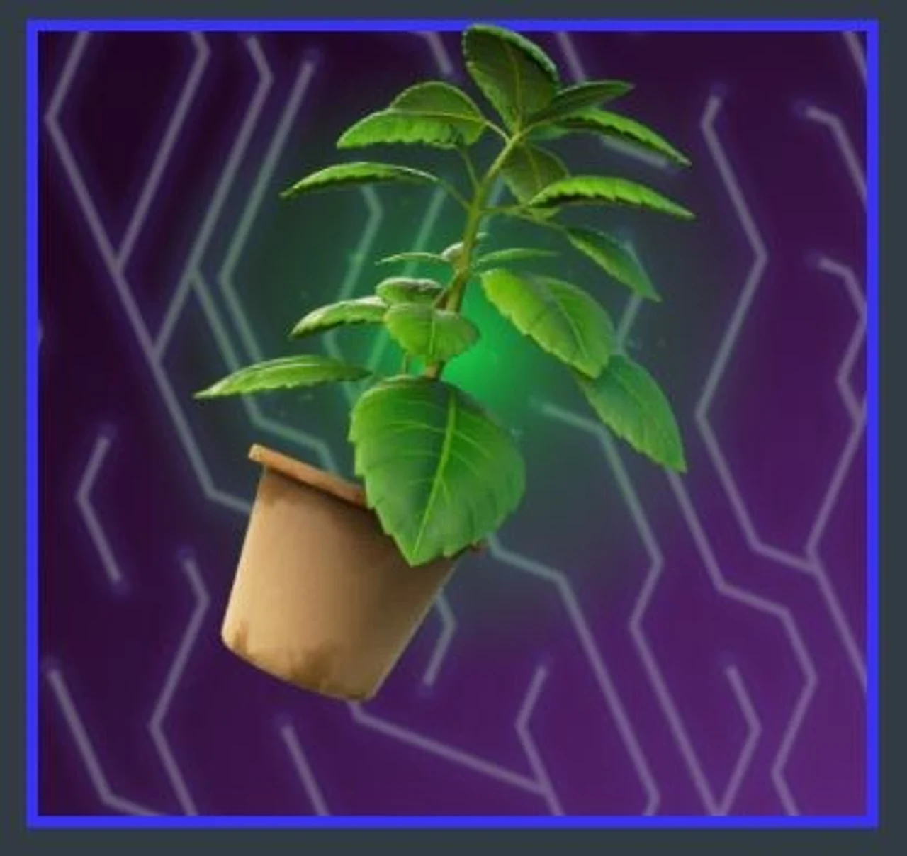 Green Herb Back Bling