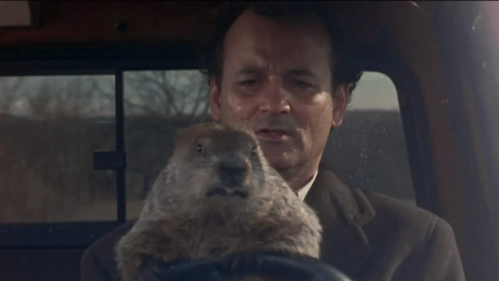 Greatest Comedies of the 20th Century