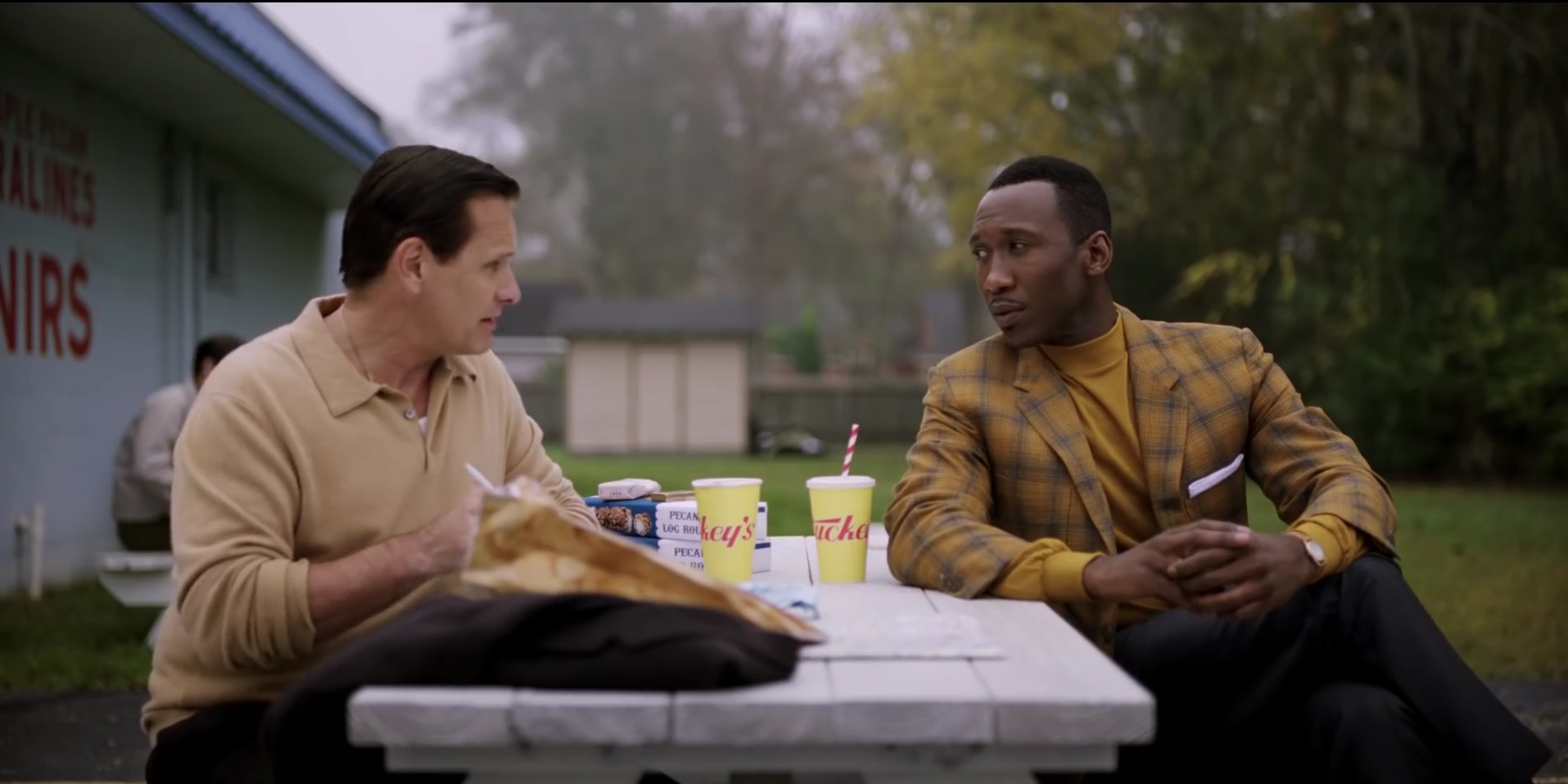 Green Book 2018