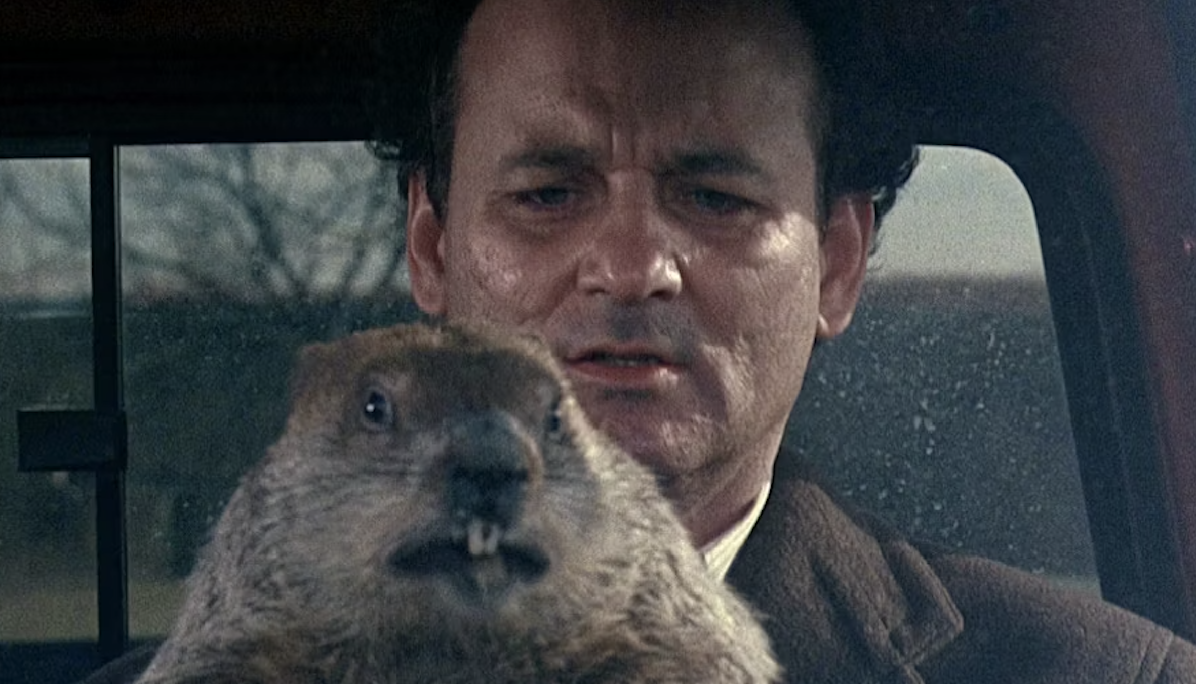 Groundhog Day