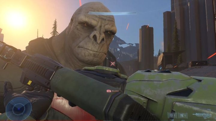 Halo Graphics