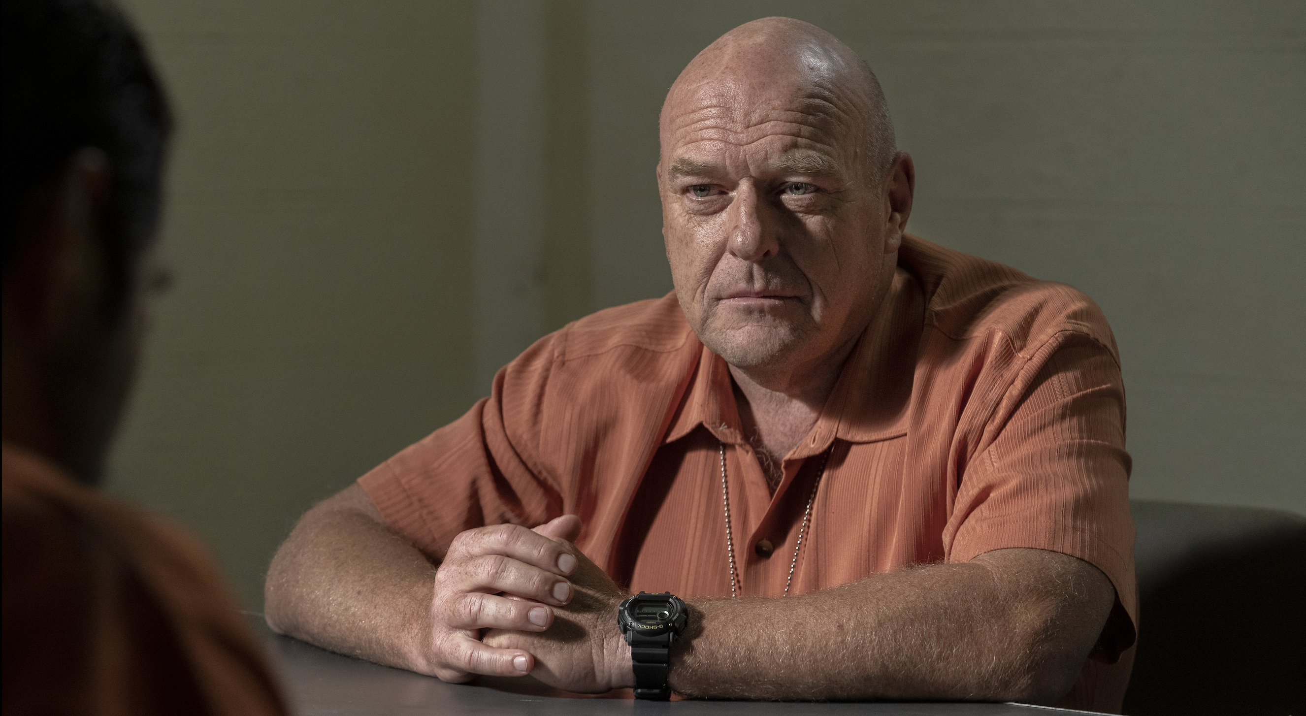 Hank Schrader