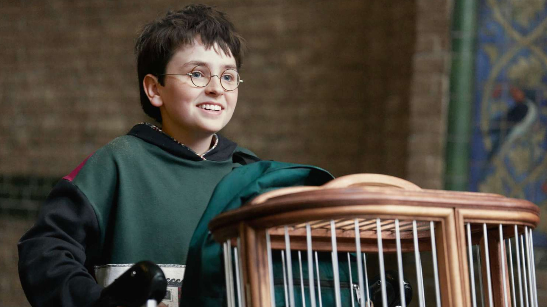 Harry Potter Series