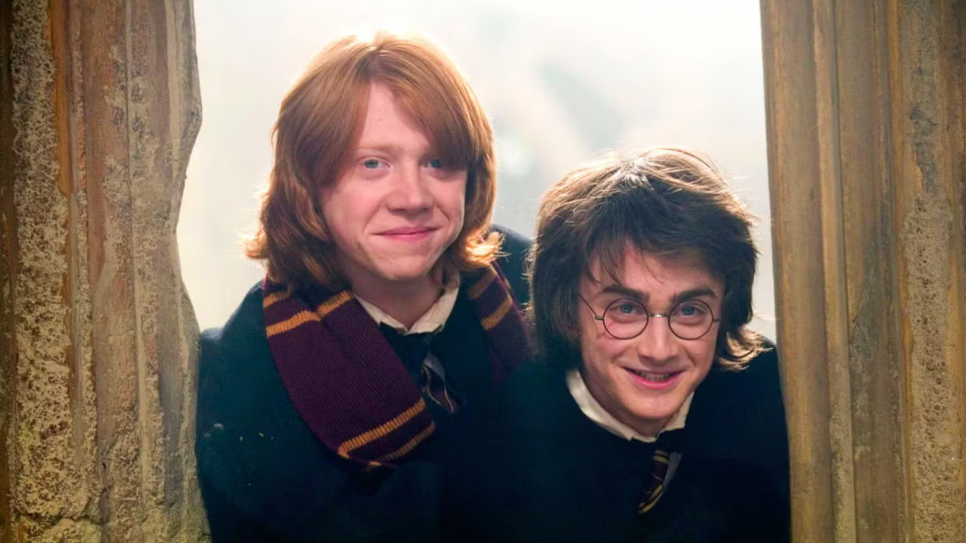 Harry Potter and Ron Weasley Harry Potter Franchise
