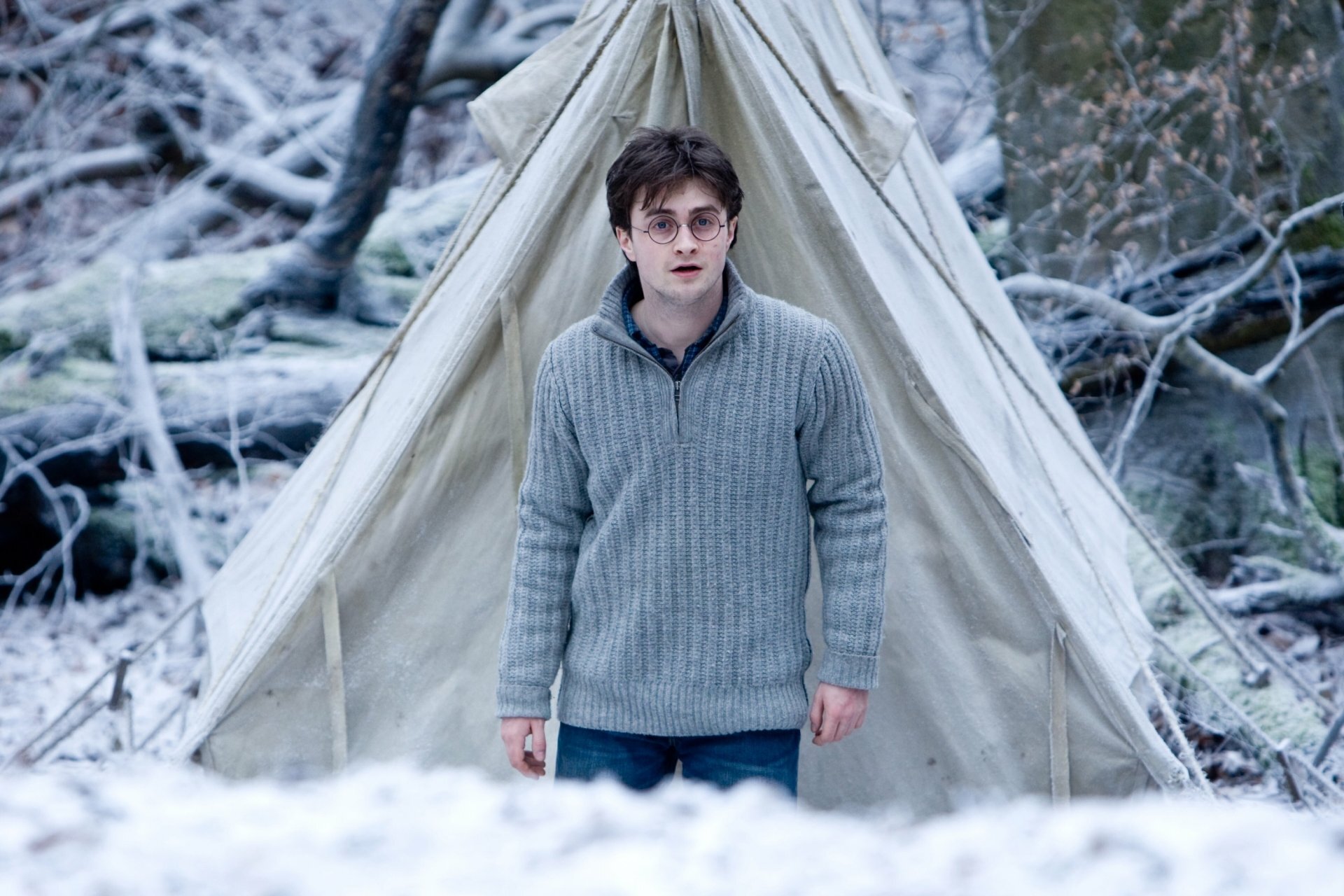 Harry Potter and the Deathly Hallows Part 1 camp