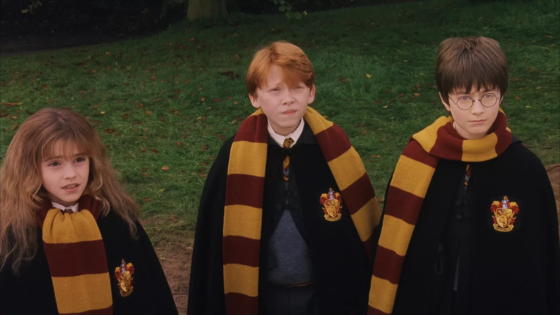 Harry Potter and the Sorcerers Stone