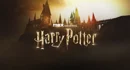 Harry Potter from HBO Max