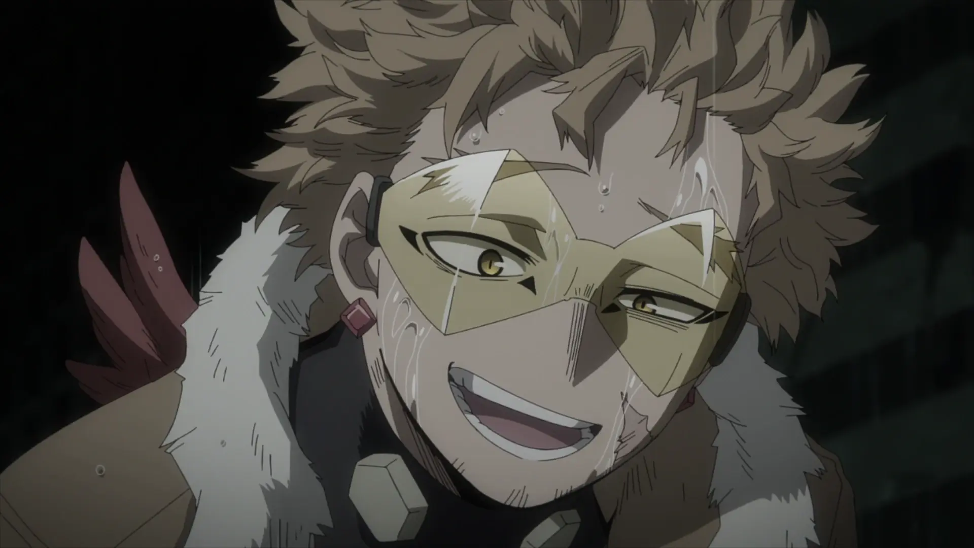 Hawks