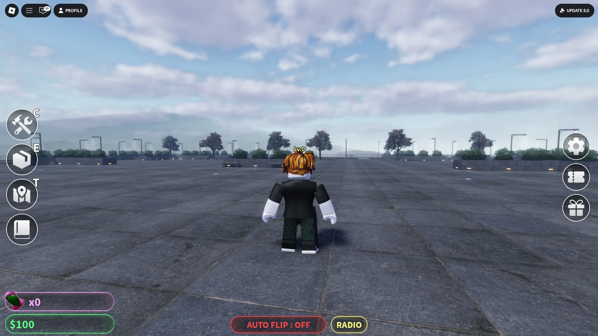 Heads Please expired codes