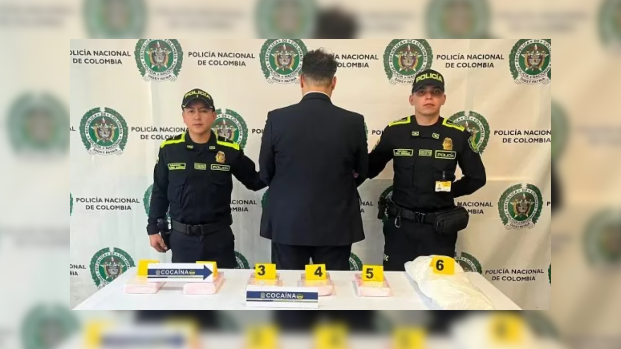 Hernando Custody