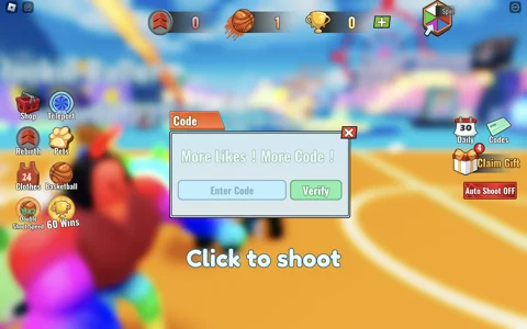 Hoop Simulator codes