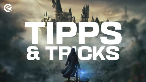 Hogwarts Legacy Einsteiger tipps