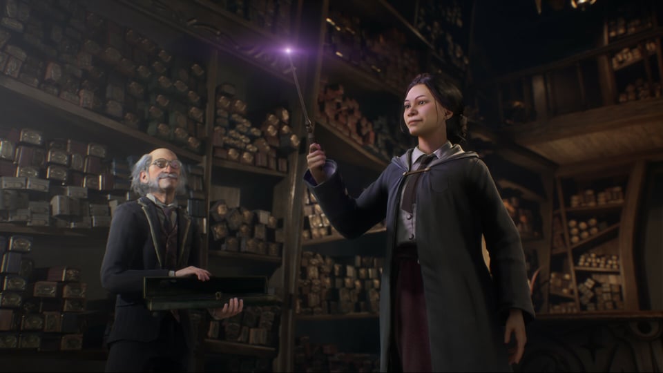 Harry Potter Hogwarts Legacy steam tags : r/Trailerclub