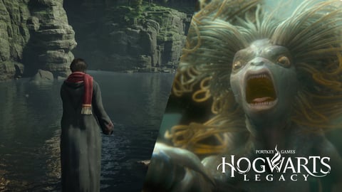 Hogwarts Legacy Swimming
