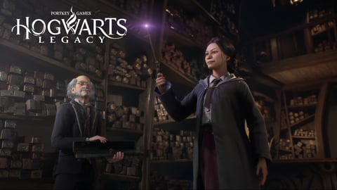 Hogwarts Legacy Wand Customization