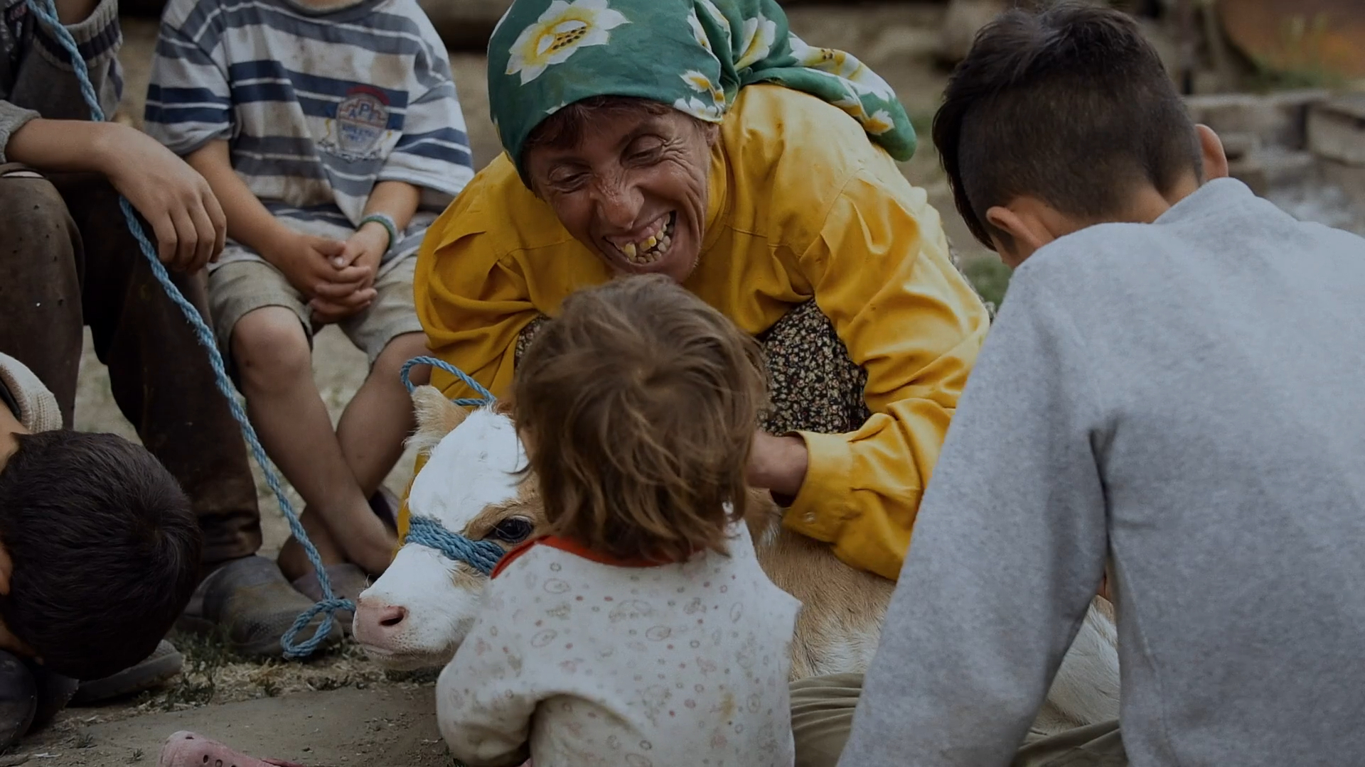 Honeyland 2019