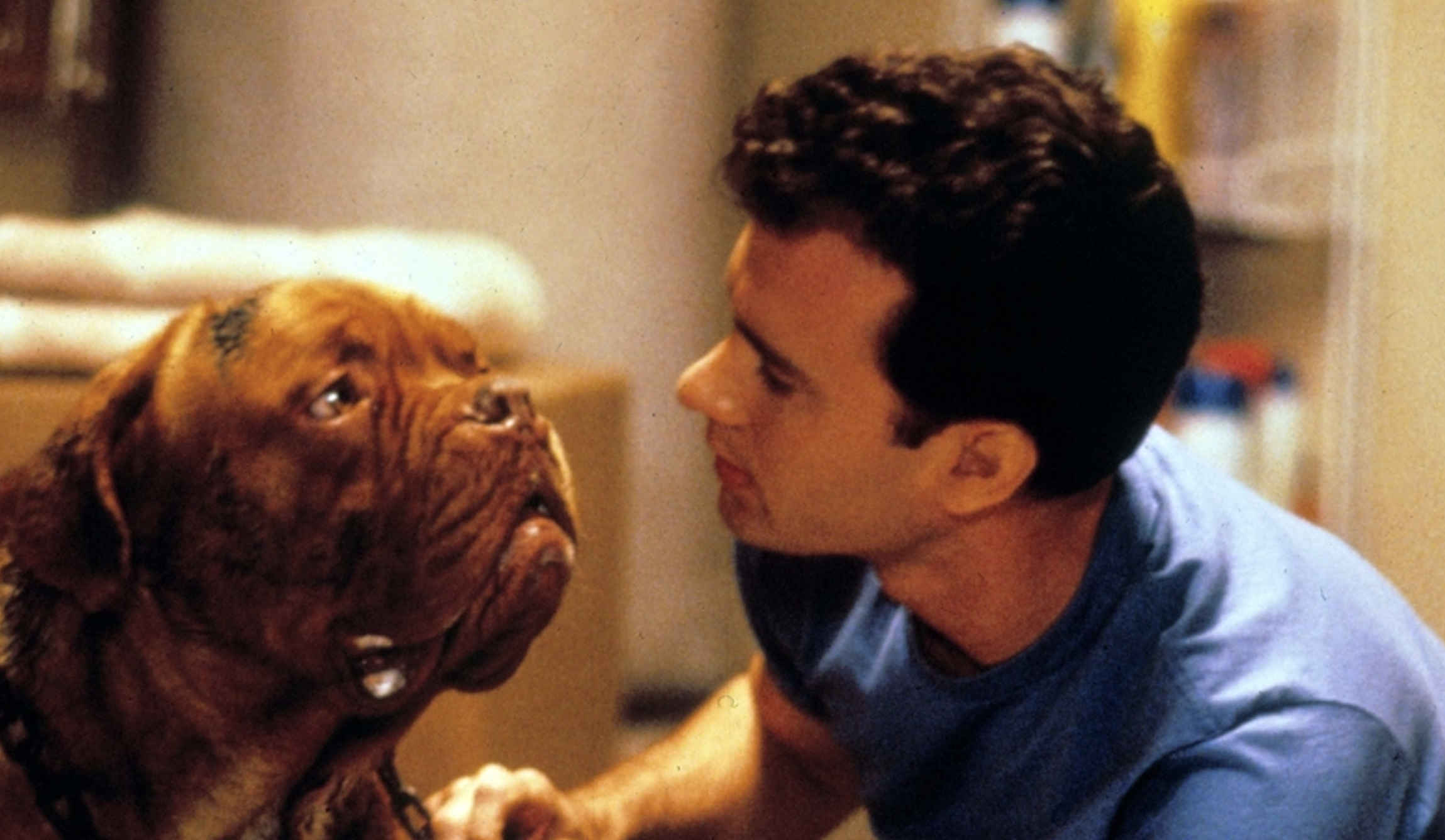 Hooch from Turner Hooch