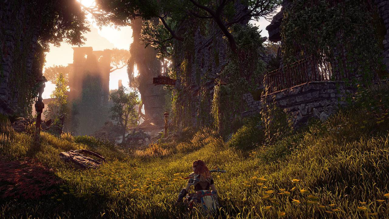 Horizon Screenshot Sony