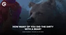 How Many Of You Did The Dirty With A Bear thumbnail