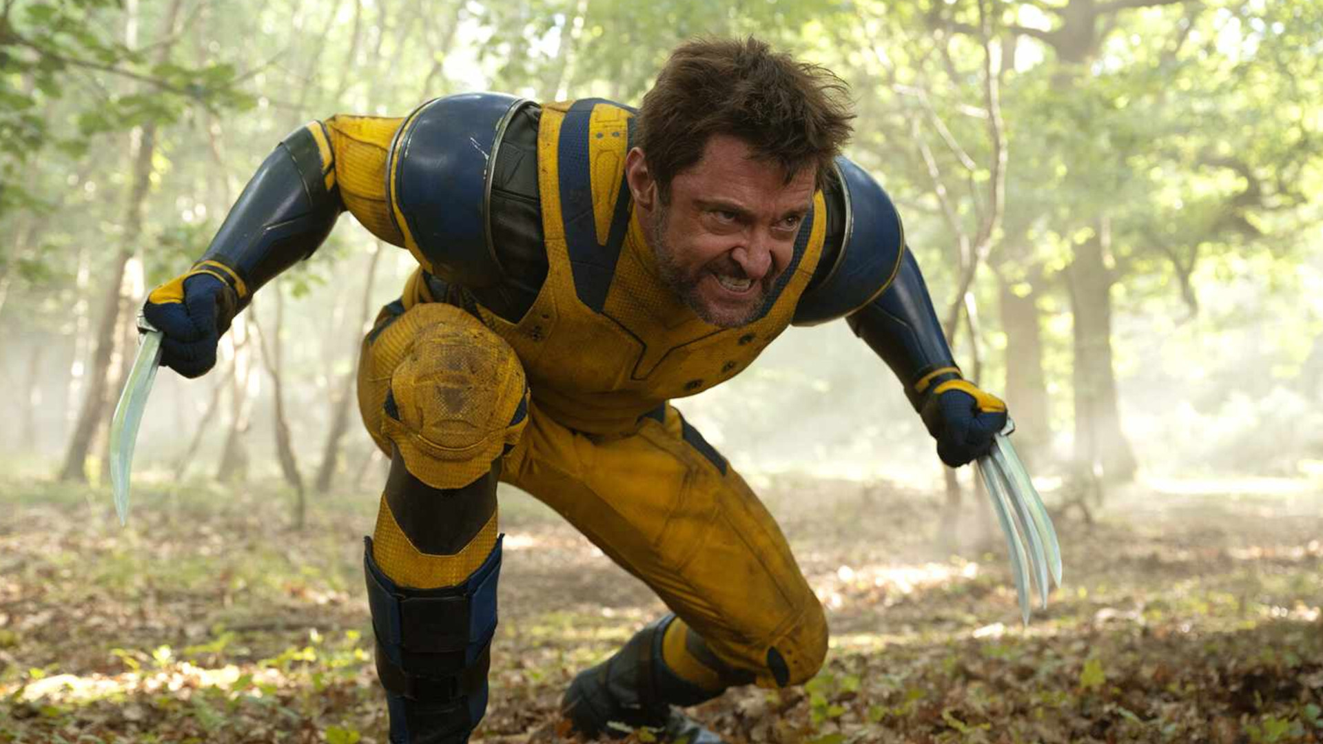 Hugh Jackman Wolverine
