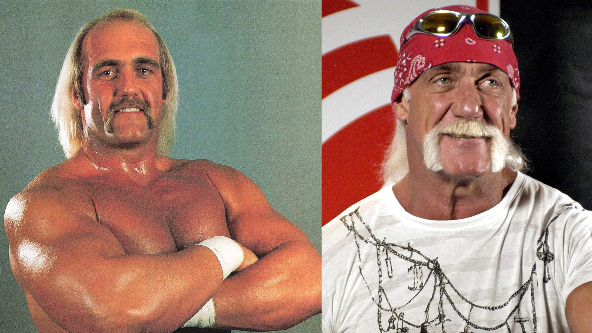 Hulk Hogan 01 Wikipedia