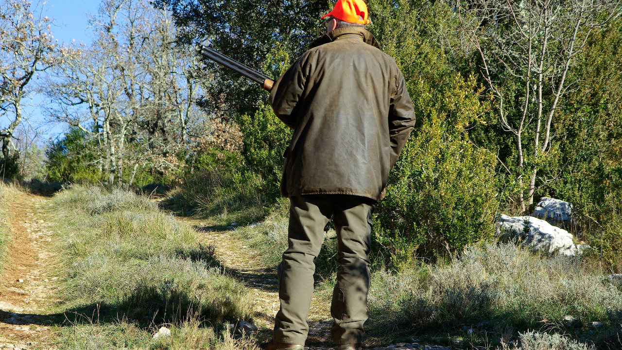 Hunter Pixabay