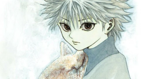 Hunterx hunter manga