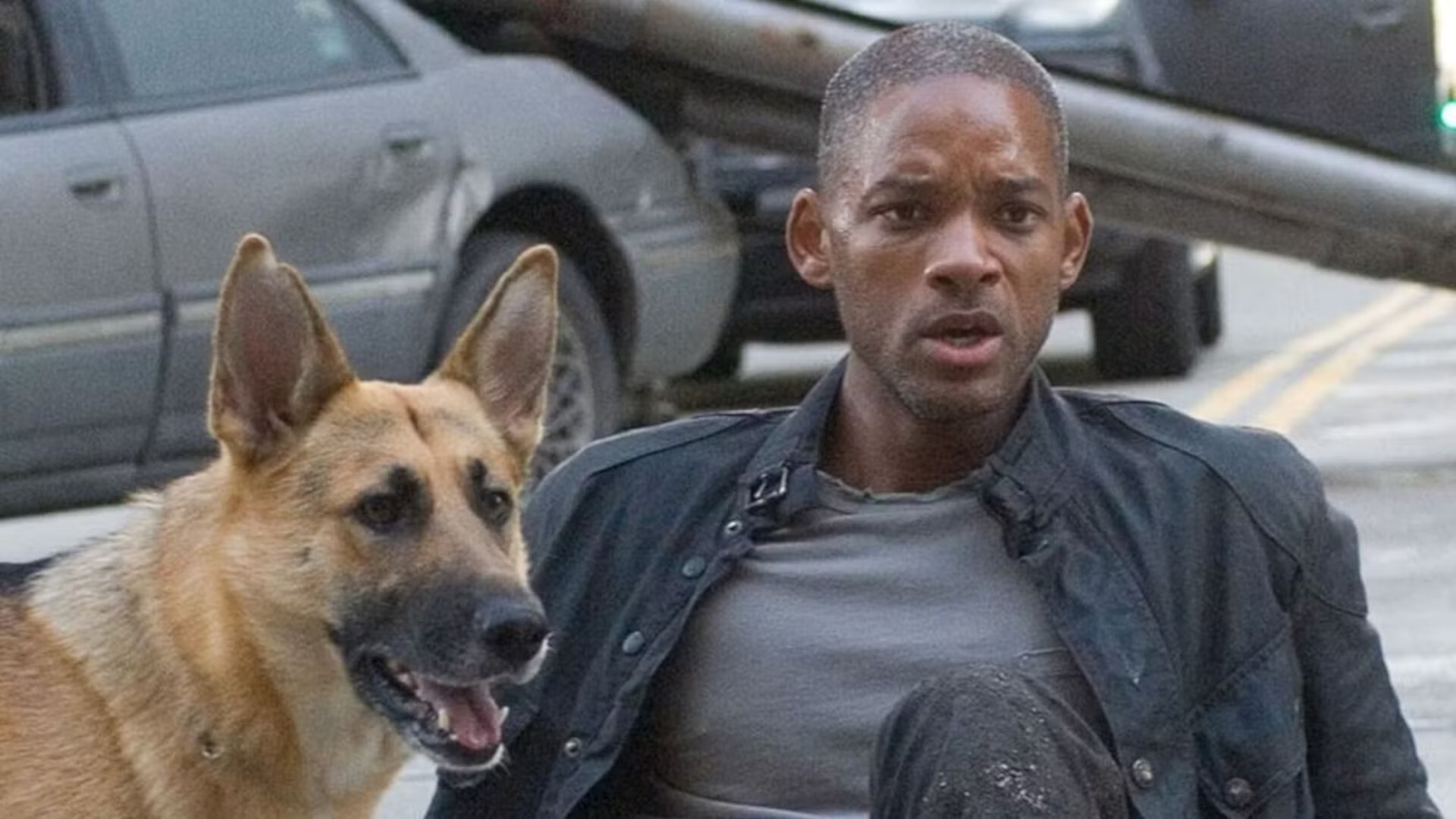 I Am Legend 2007