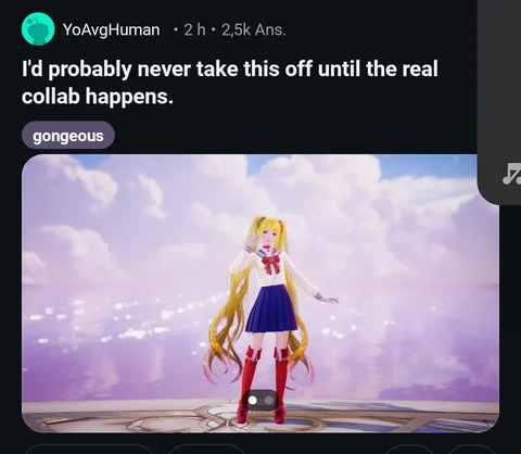 IN Sailor Moon