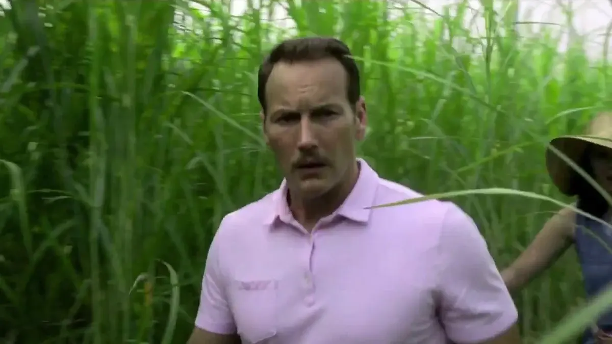 In the Tall Grass