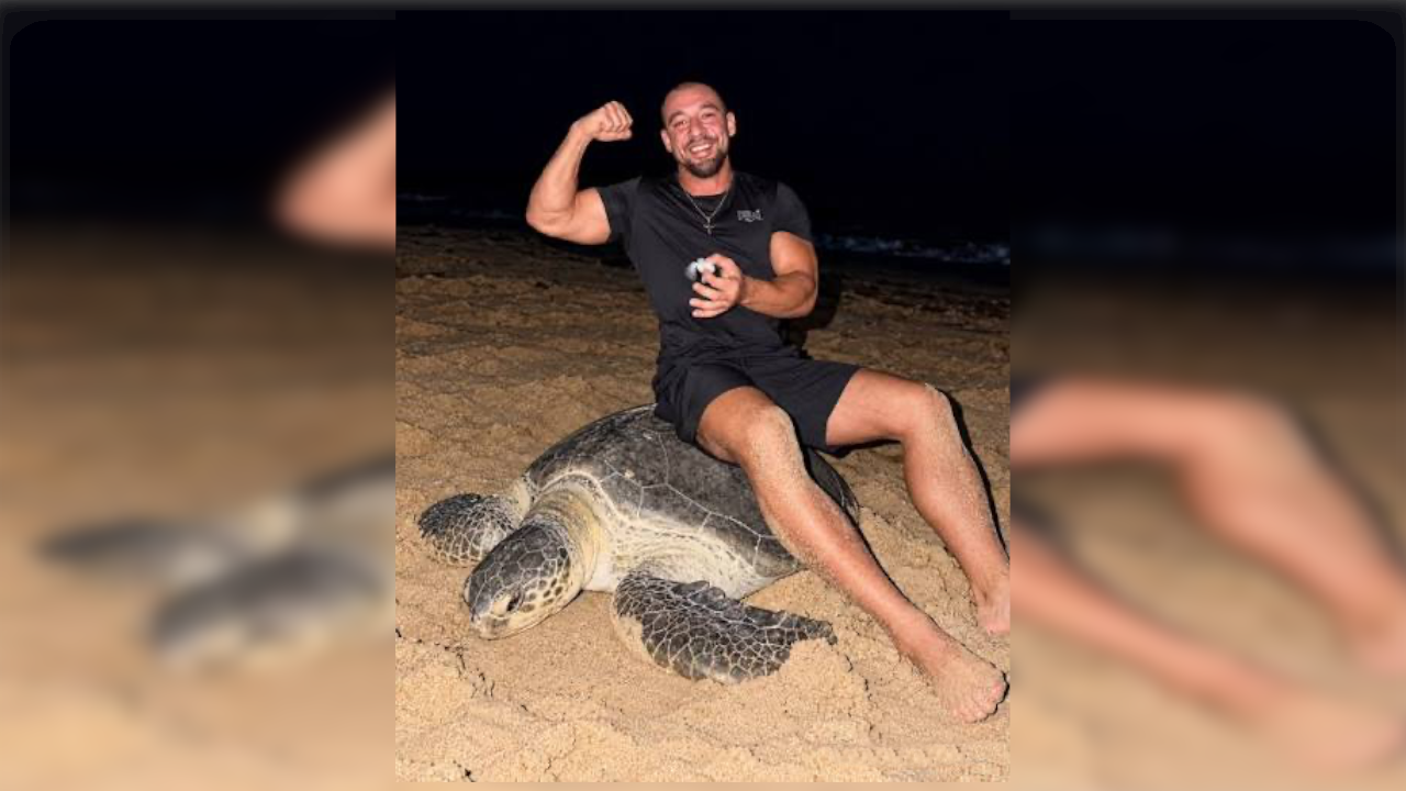 Influencer Sea Turtle Ride