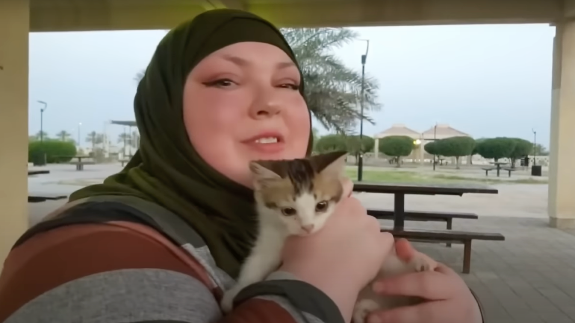 Influencerin will Spenden für Katze