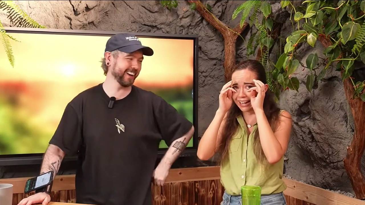 Jacksepticeye Alveus