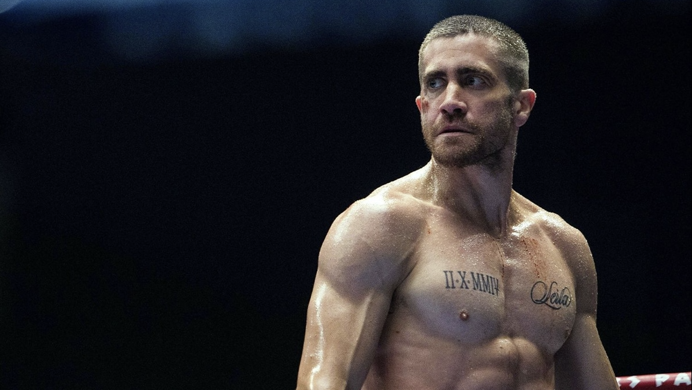 Jake Gyllenhaal