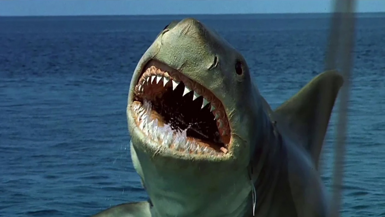 Jaws The Revenge 1987