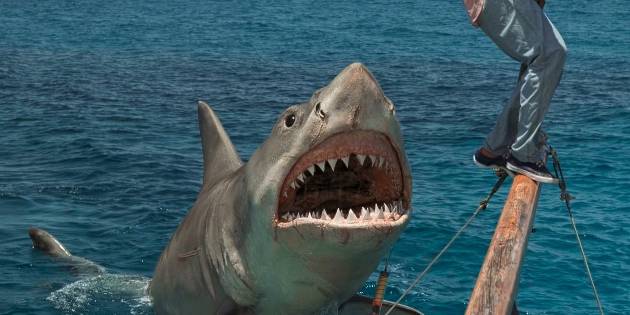 Jaws The Revenge