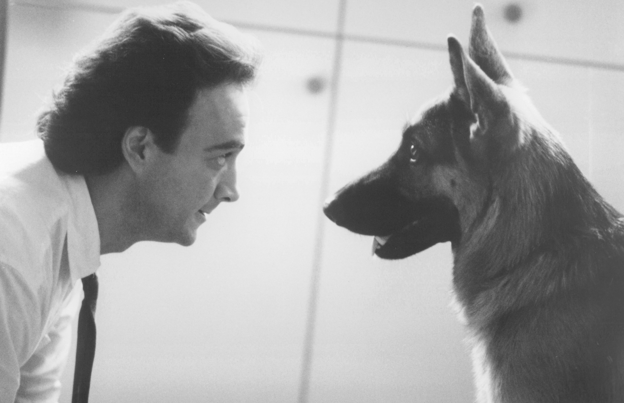 K 9