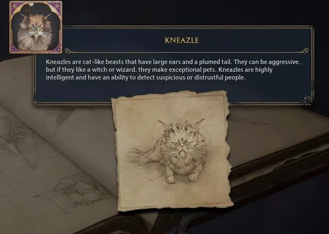 Kneazle