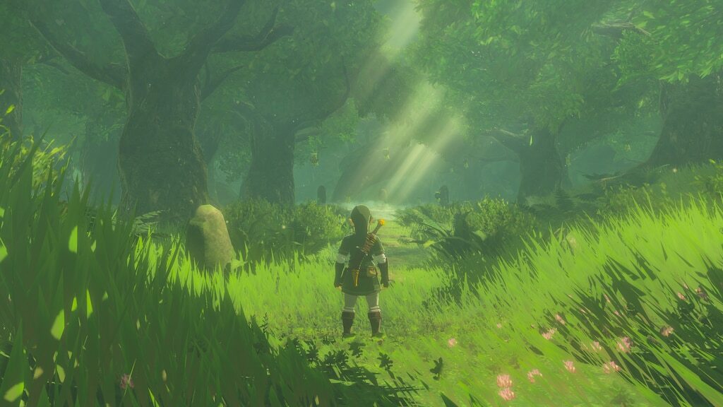 Korok Forest zelda