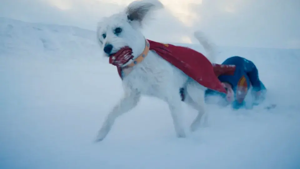 Kryptonian dog