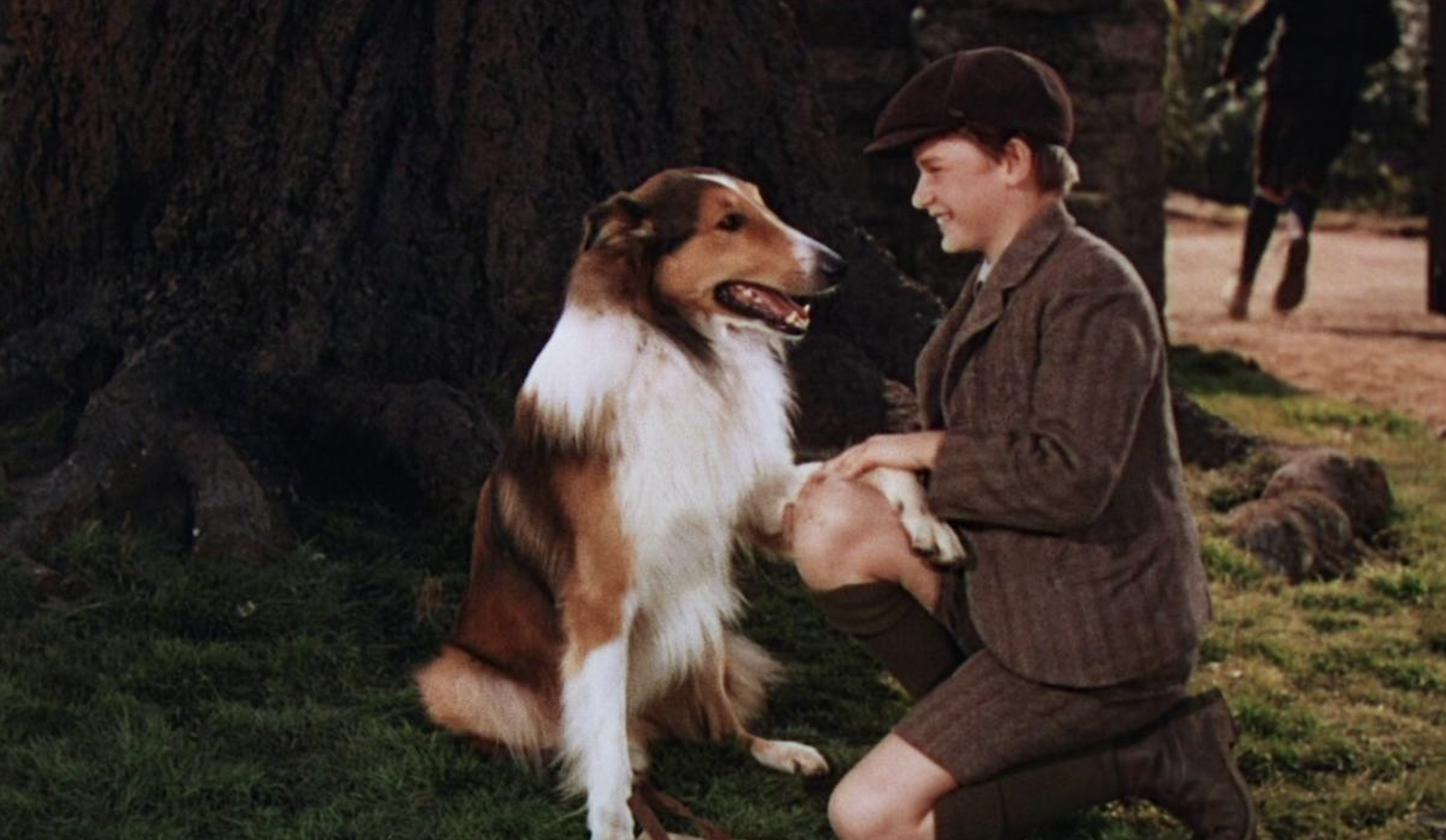 Lassie from Lassie Come Home