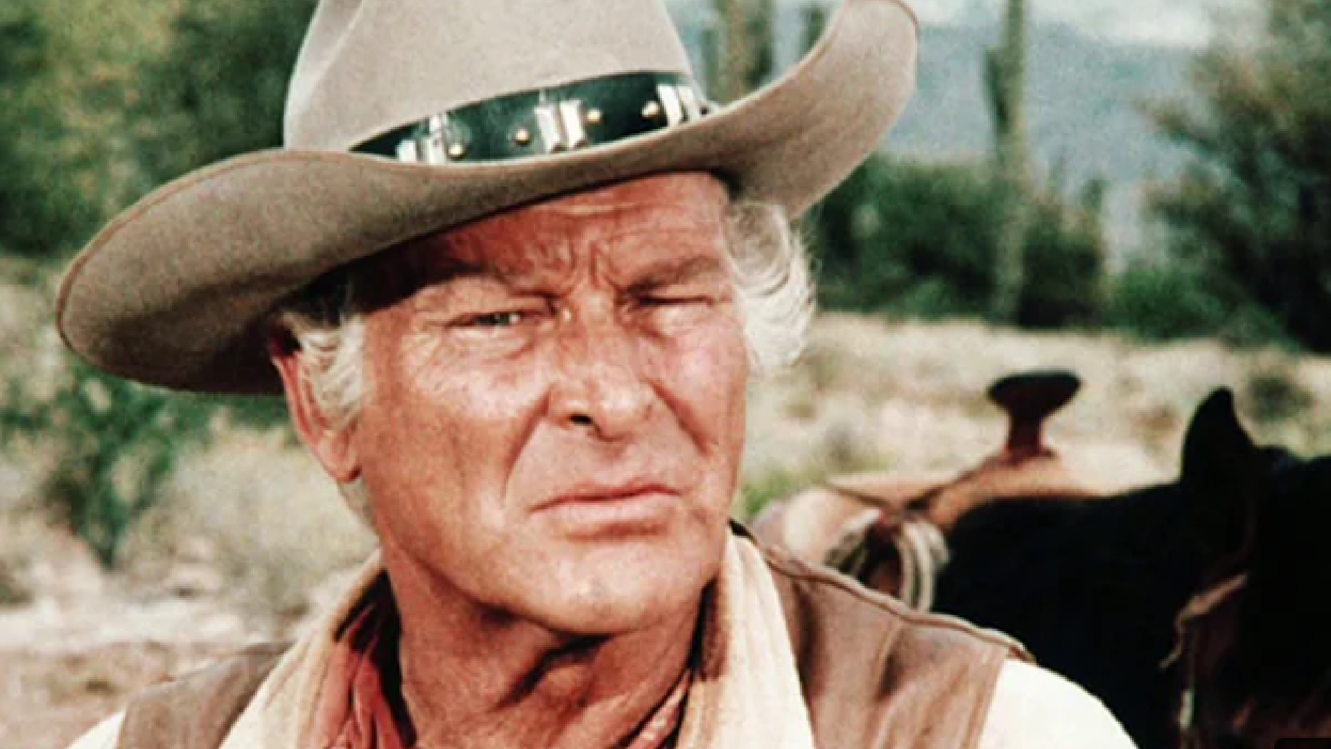 Leif Erickson 02 NBC