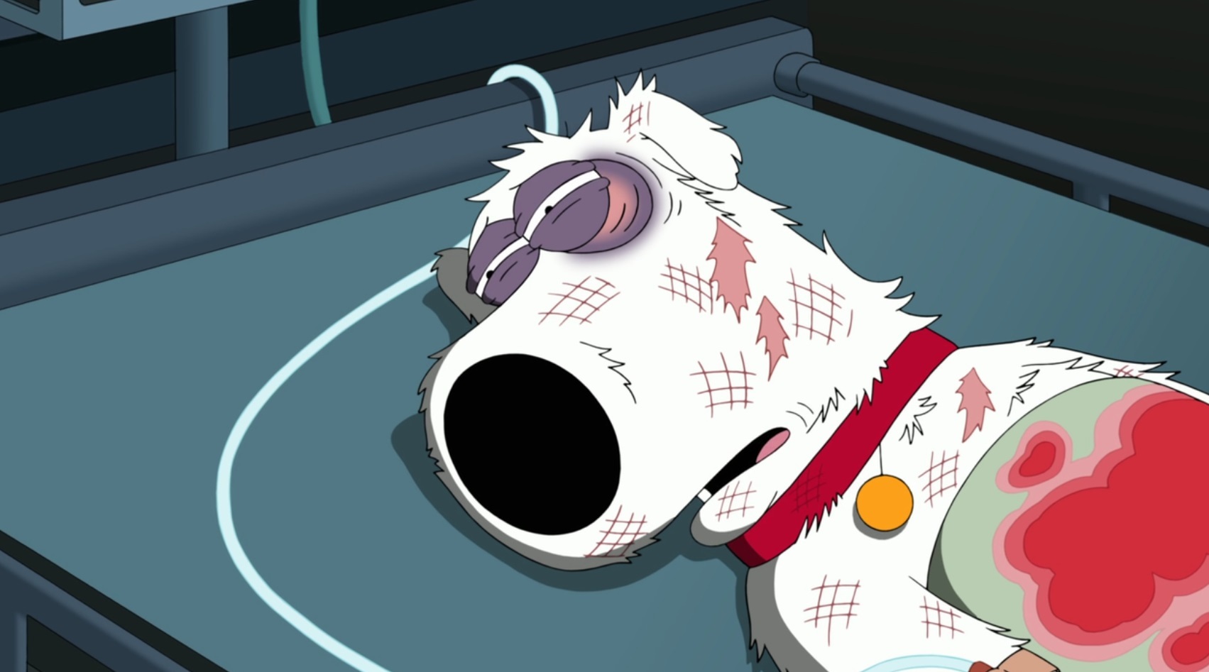 Life of Brian from Family Guy