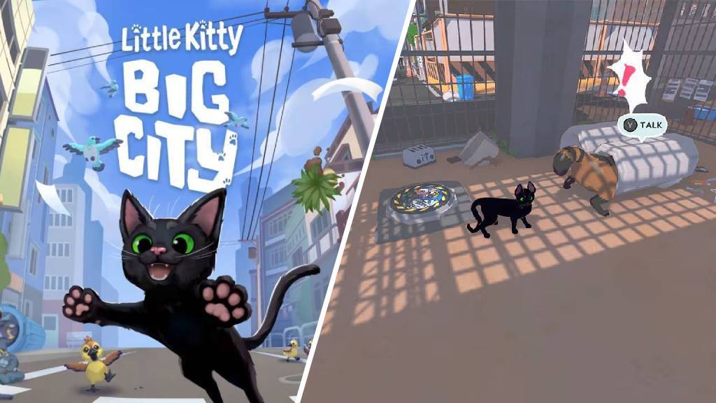 Little Kitty 1