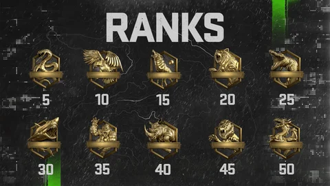 MWII Ranks