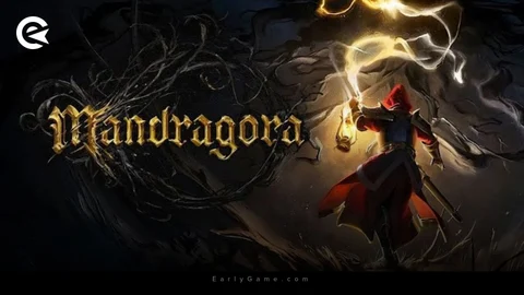 Mandragora