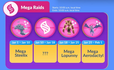 Mega Raids January